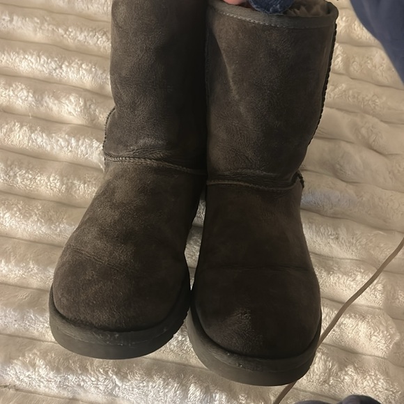 women’s classic short grey Uggs - Picture 7 of 7